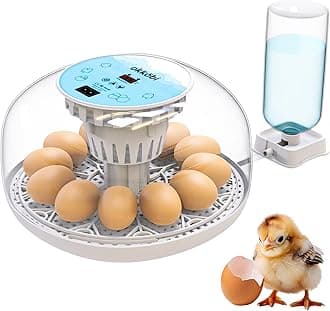 Okkobi M12 Egg Incubator with Automatic Turner and Humidity Control - 12/24 Eggs, 360° View, Easy to Use and Clean - Incubators for Hatching - Incubadora de Huevos de Gallina
